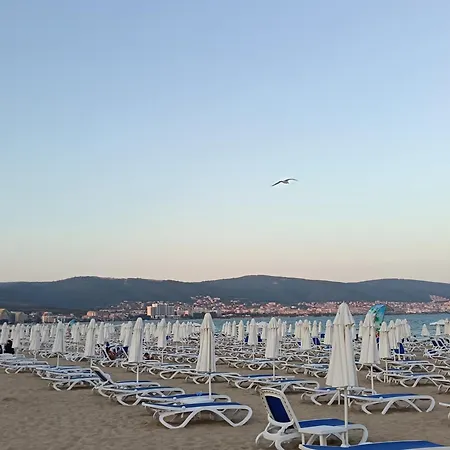 Διαμέρισμα Aura Blu *